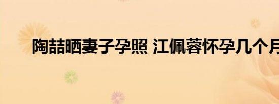 陶喆晒妻子孕照 江佩蓉怀孕几个月了