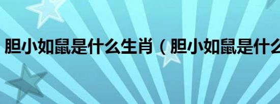胆小如鼠是什么生肖（胆小如鼠是什么生肖）