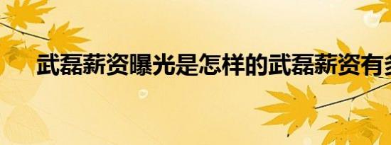 武磊薪资曝光是怎样的武磊薪资有多少