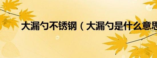 大漏勺不锈钢（大漏勺是什么意思）