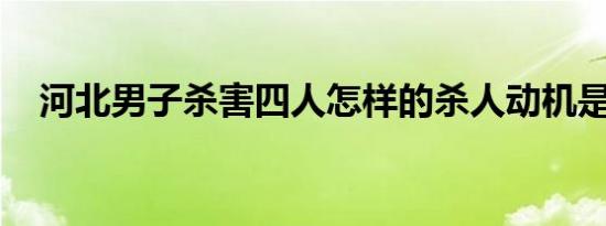 河北男子杀害四人怎样的杀人动机是什么
