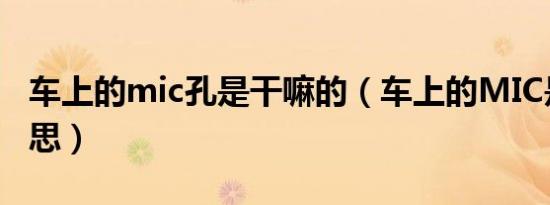 车上的mic孔是干嘛的（车上的MIC是什么意思）