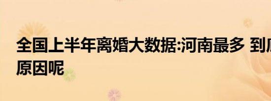 全国上半年离婚大数据:河南最多 到底是什么原因呢
