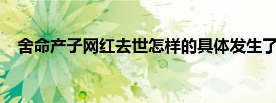 舍命产子网红去世怎样的具体发生了什么