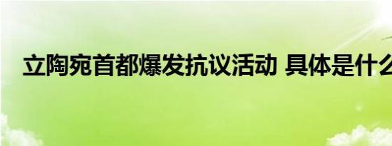 立陶宛首都爆发抗议活动 具体是什么原因