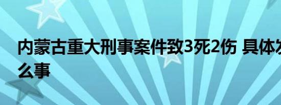 内蒙古重大刑事案件致3死2伤 具体发生了什么事