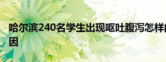 哈尔滨240名学生出现呕吐腹泻怎样的什么原因