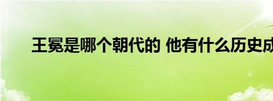 王冕是哪个朝代的 他有什么历史成就