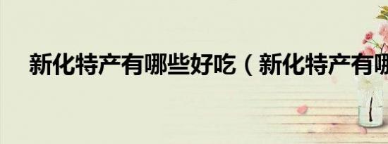 新化特产有哪些好吃（新化特产有哪些）