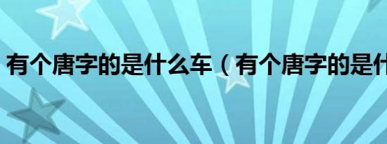 有个唐字的是什么车（有个唐字的是什么车）