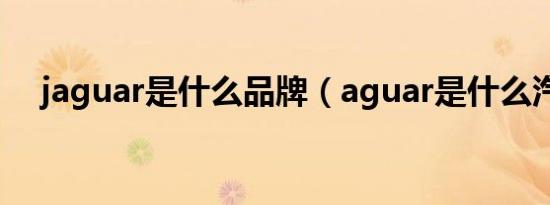 jaguar是什么品牌（aguar是什么汽车）