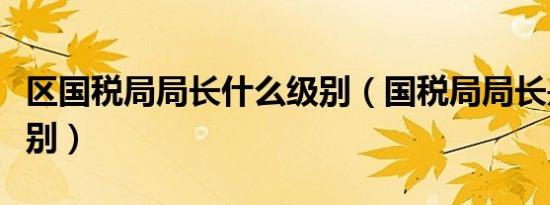 区国税局局长什么级别（国税局局长是什么级别）