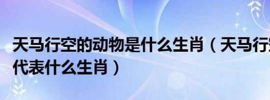 天马行空的动物是什么生肖（天马行空送吉祥代表什么生肖）