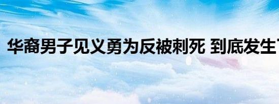 华裔男子见义勇为反被刺死 到底发生了什么