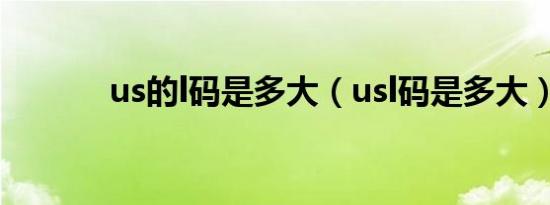 us的l码是多大（usl码是多大）