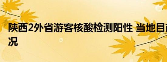 陕西2外省游客核酸检测阳性 当地目前是啥情况