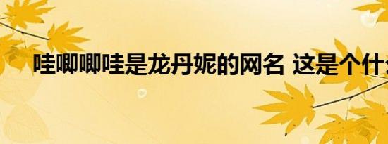 哇唧唧哇是龙丹妮的网名 这是个什么梗