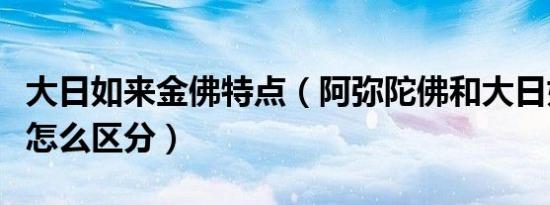 大日如来金佛特点（阿弥陀佛和大日如来佛像怎么区分）