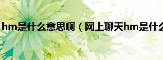 hm是什么意思啊（网上聊天hm是什么意思）