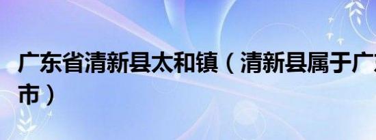 广东省清新县太和镇（清新县属于广东省哪个市）