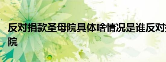 反对捐款圣母院具体啥情况是谁反对捐款圣母院