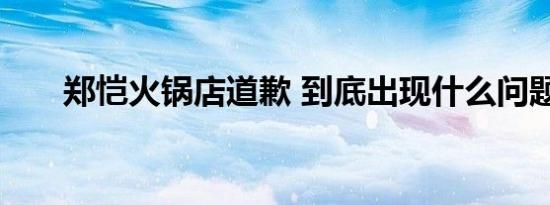 郑恺火锅店道歉 到底出现什么问题呢