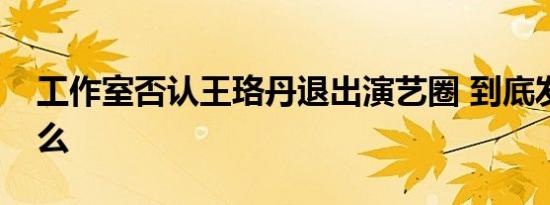 工作室否认王珞丹退出演艺圈 到底发生了什么