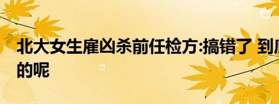 北大女生雇凶杀前任检方:搞错了 到底是怎样的呢