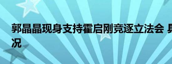 郭晶晶现身支持霍启刚竞逐立法会 具体啥情况