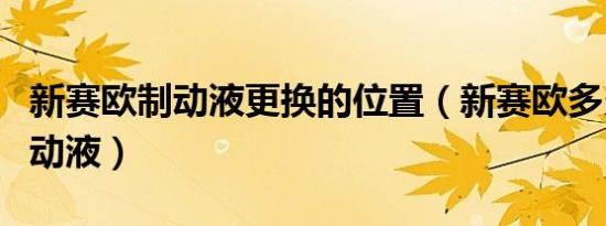 新赛欧制动液更换的位置（新赛欧多久更换制动液）