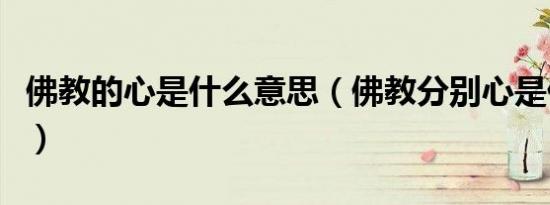 佛教的心是什么意思（佛教分别心是什么意思）