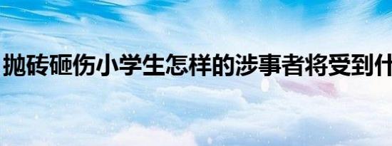 抛砖砸伤小学生怎样的涉事者将受到什么处罚