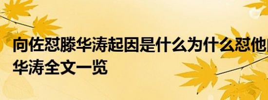 向佐怼滕华涛起因是什么为什么怼他向佐怼滕华涛全文一览