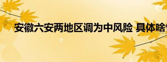 安徽六安两地区调为中风险 具体啥情况