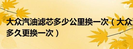 大众汽油滤芯多少公里换一次（大众汽油滤芯多久更换一次）