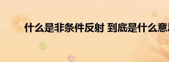 什么是非条件反射 到底是什么意思