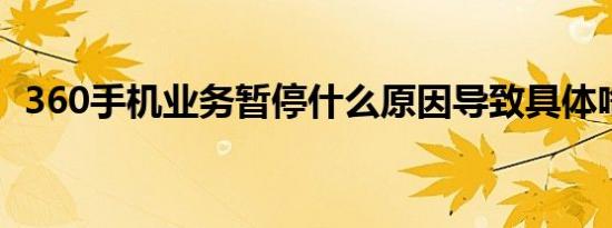 360手机业务暂停什么原因导致具体啥情况