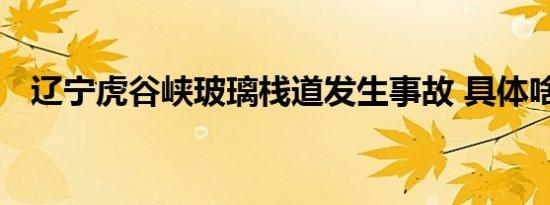 辽宁虎谷峡玻璃栈道发生事故 具体啥情况