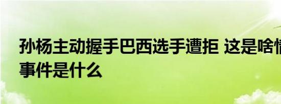 孙杨主动握手巴西选手遭拒 这是啥情况孙杨事件是什么