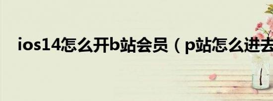 ios14怎么开b站会员（p站怎么进去ios）