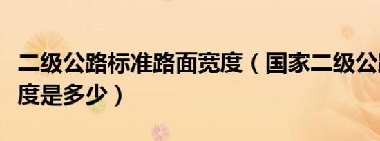二级公路标准路面宽度（国家二级公路标准宽度是多少）