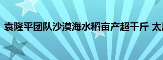 袁隆平团队沙漠海水稻亩产超千斤 太厉害了
