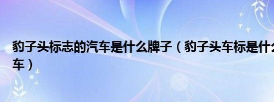 豹子头标志的汽车是什么牌子（豹子头车标是什么品牌的汽车）