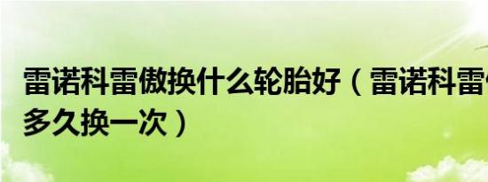 雷诺科雷傲换什么轮胎好（雷诺科雷傲的轮胎多久换一次）