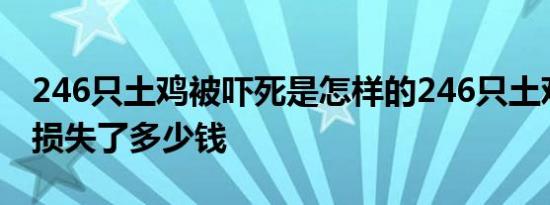 246只土鸡被吓死是怎样的246只土鸡被吓死损失了多少钱