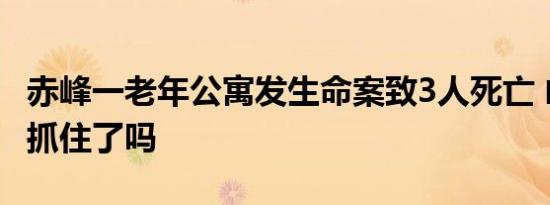 赤峰一老年公寓发生命案致3人死亡 凶手是谁抓住了吗