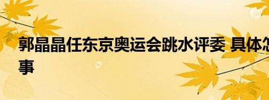 郭晶晶任东京奥运会跳水评委 具体怎么一回事