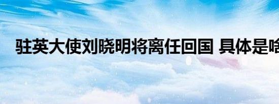 驻英大使刘晓明将离任回国 具体是啥情况