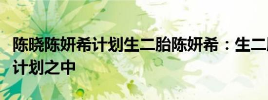 陈晓陈妍希计划生二胎陈妍希：生二胎一直在计划之中