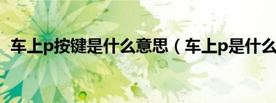 车上p按键是什么意思（车上p是什么意思）